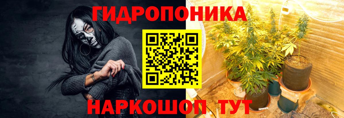 Шишки марихуана ГИДРОПОН Химки